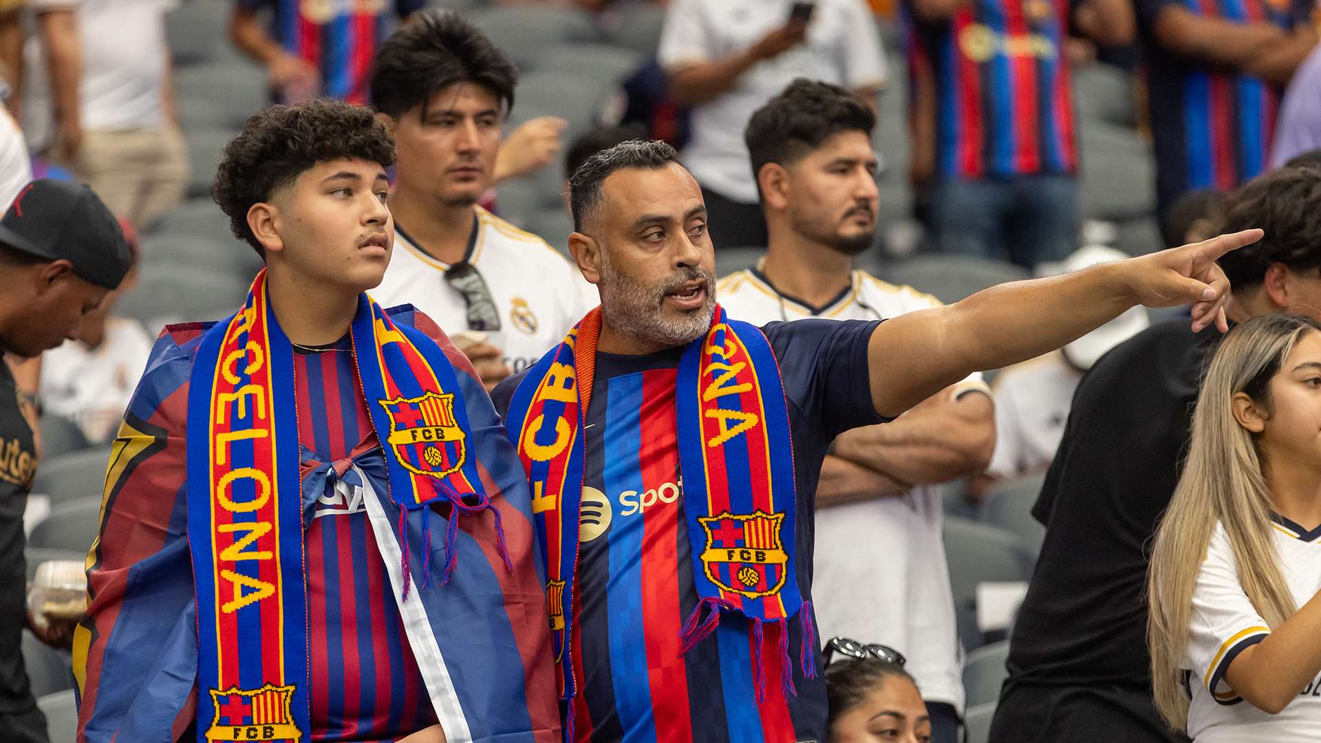 再看看其他 再看看其他